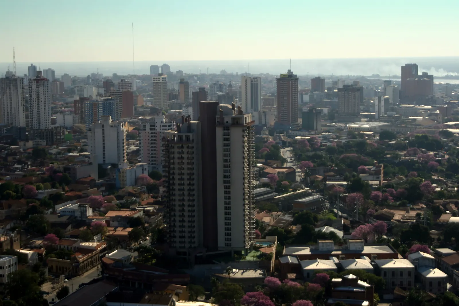 Torre de departamentos entre lapachos en Asunción, el tipo de inmueble de renta que permite el Investor Pass con inmueble en Paraguay