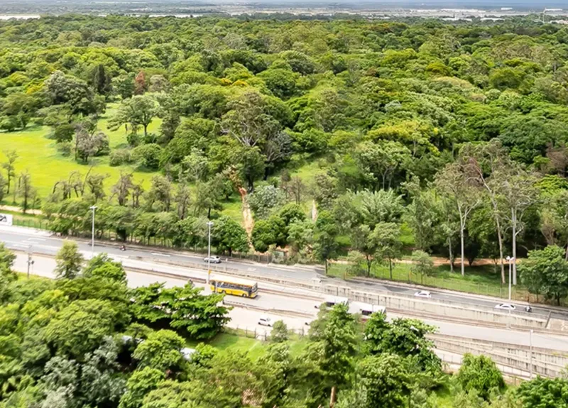 El Jardín Botánico de Asunción, un respiro verde para los nómadas digitales en Paraguay