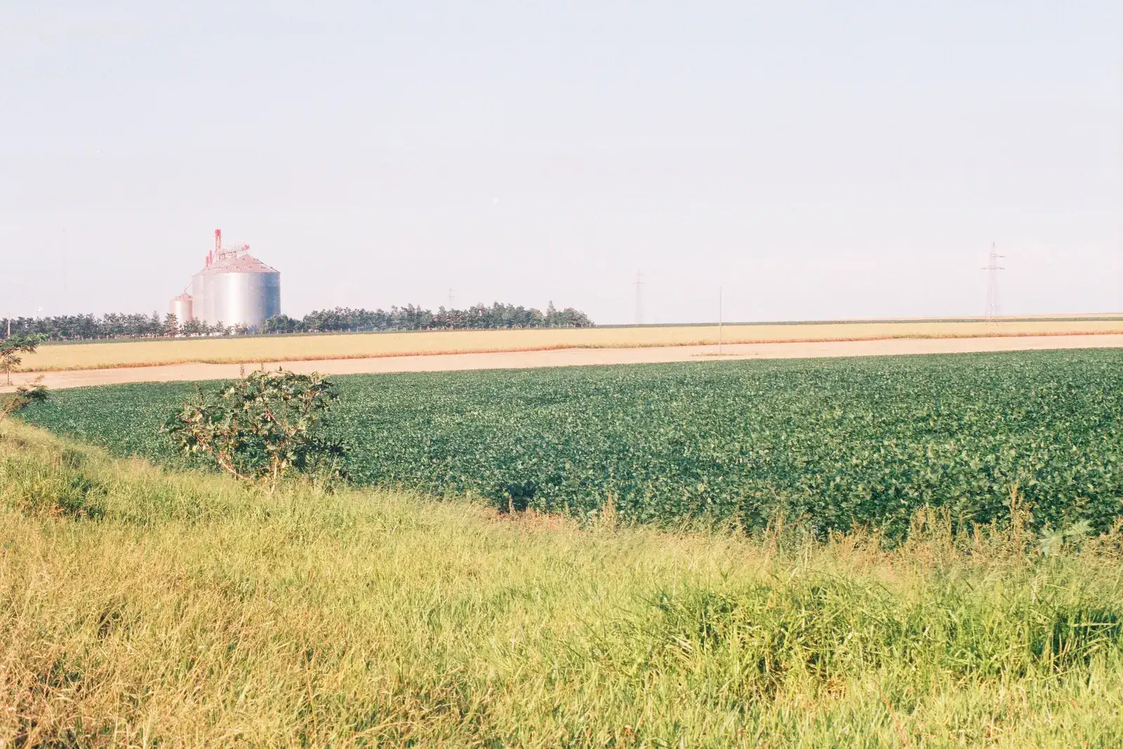 Campo de soja y silos en el este de Paraguay, el agronegocio como gran empleador al trabajar en Paraguay