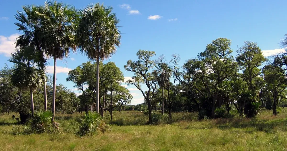 El puente bioceánico Paraguay-Brasil, cerca de unir las dos orillas